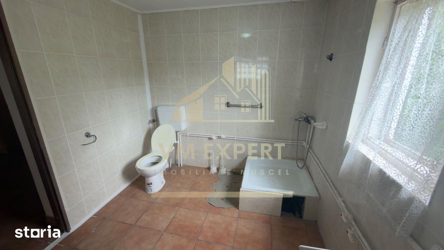 CASA 5 CAMERE TEREN 1138 MP BALILE?TI ARGES - 18