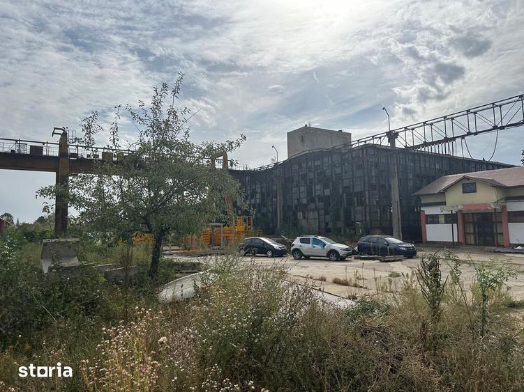 Teren de 55228 mp, în Mihai Bravu