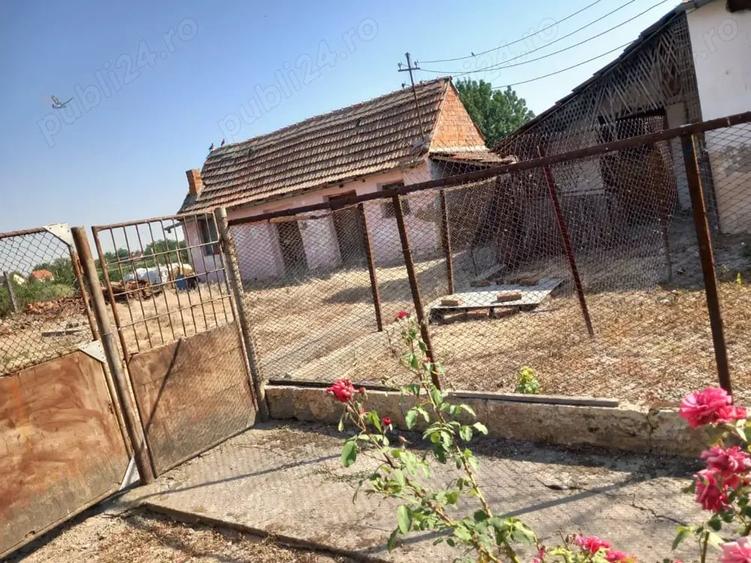 Casă cu 4 camere cu Teren 2877 Mp în Breștea