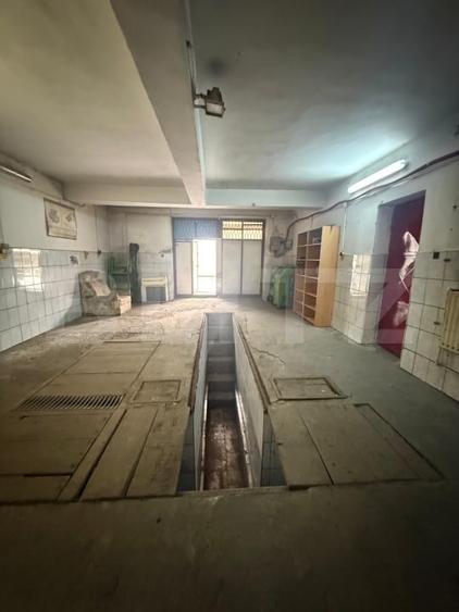 Spațiu industrial, de 90 mp, în Șcheia