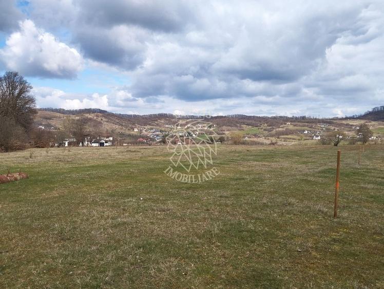 Teren agricol extravilan de 3700 mp, în Sud-Est