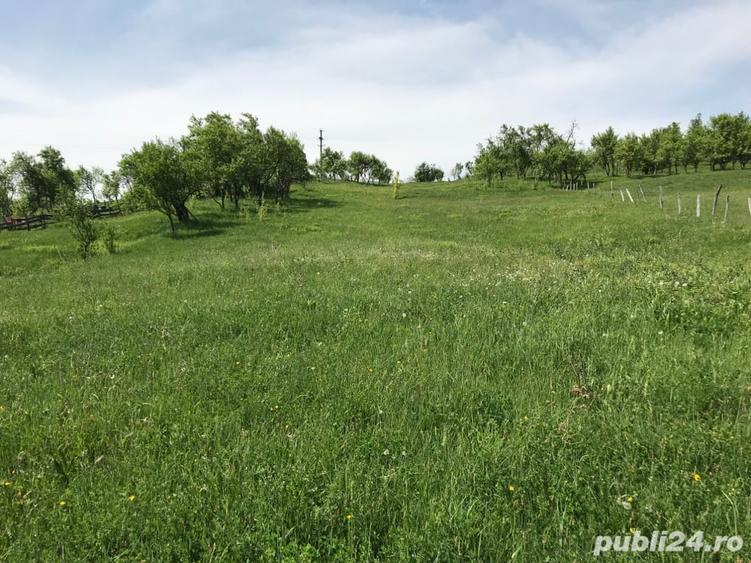 Teren în Stoenești