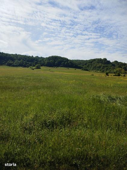 Teren de 16500 mp, în Tomești