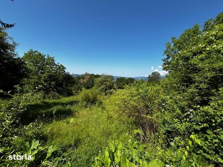 Teren de 3100 mp, în Dăești