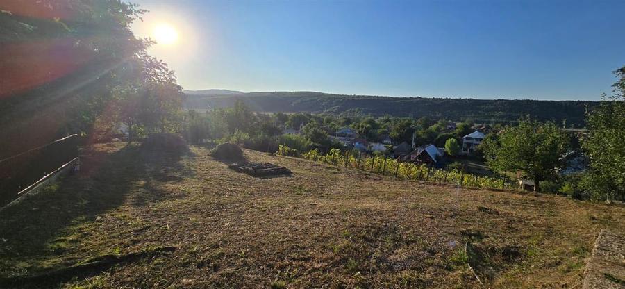 Teren Construcții intravilan de 10537 mp, în Filipești (Bogdănești)