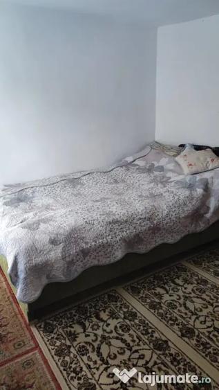 Casă cu 2 camere cu Teren 2000 Mp în David