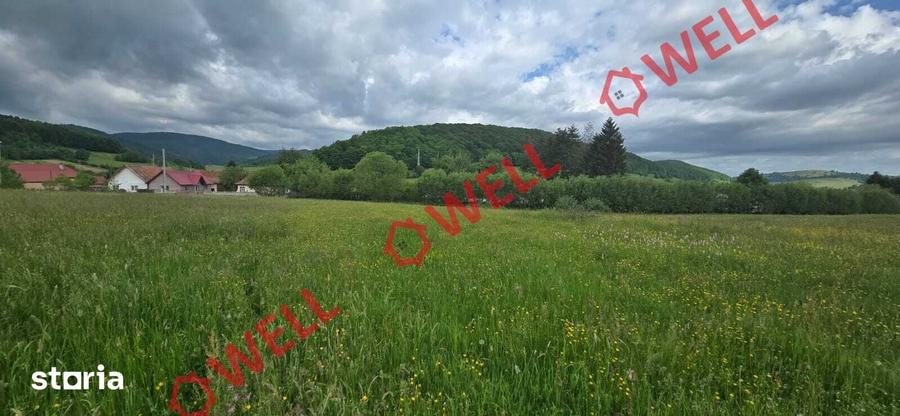 Teren de 4721 mp, în Barcani