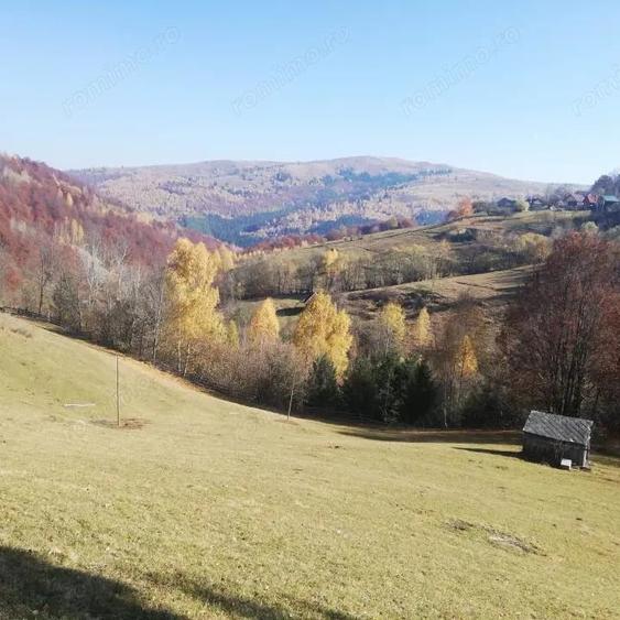 Teren de 10479 mp, în Răchițele