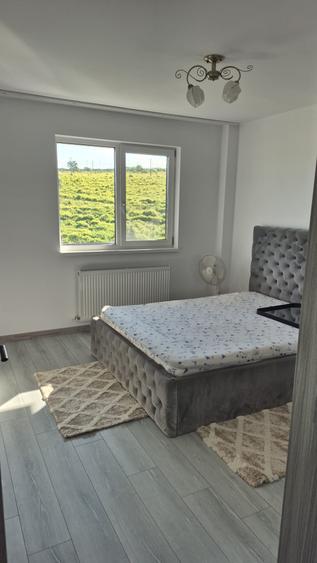 Apartament cu 2 camere în Vișan