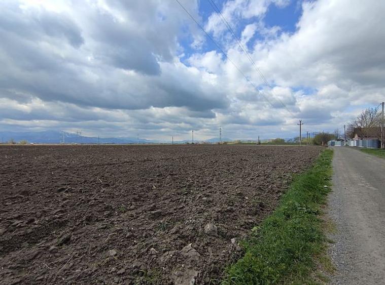 Teren intravilan 4,57 ha în Stupini - DN13. - 6