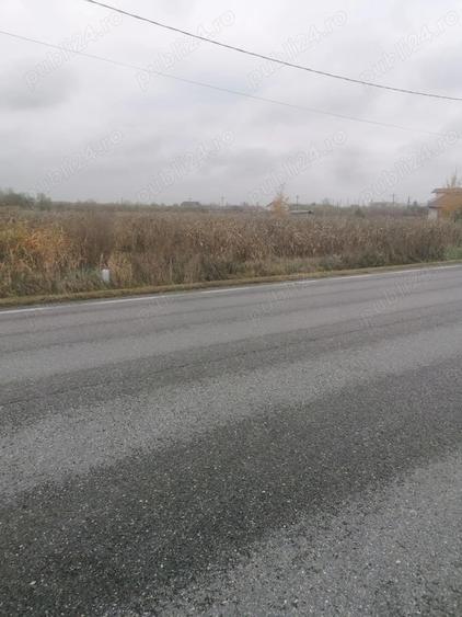Teren de 3700 mp, în Săcueni