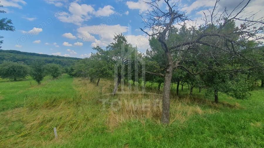 Teren de 594 mp, în Sibiel