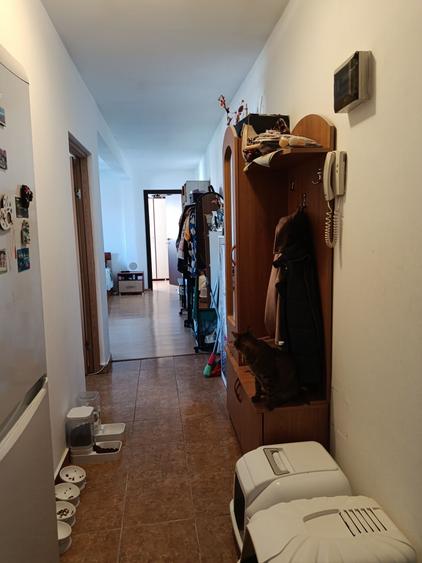 Apartament cu 2 camere semidecomandat în Ostroveni