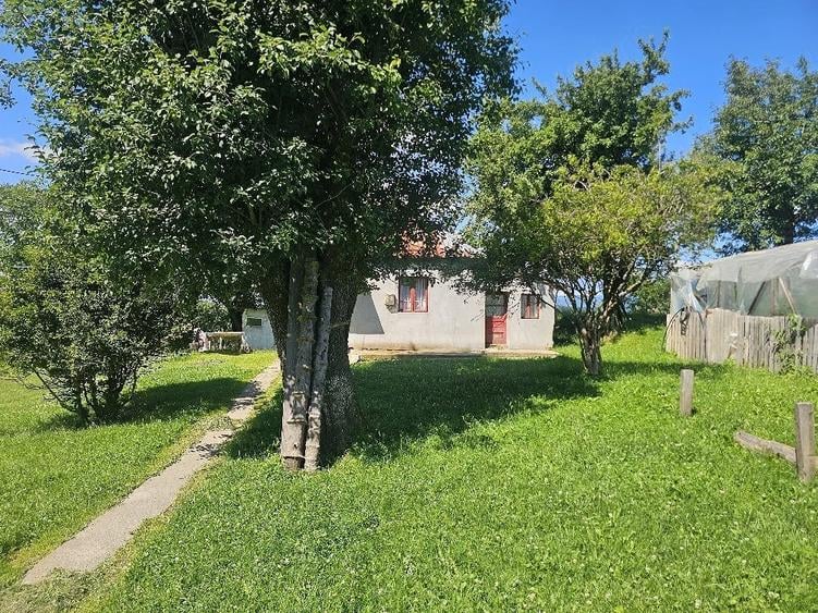 Teren de 9000 mp, în Șotrile