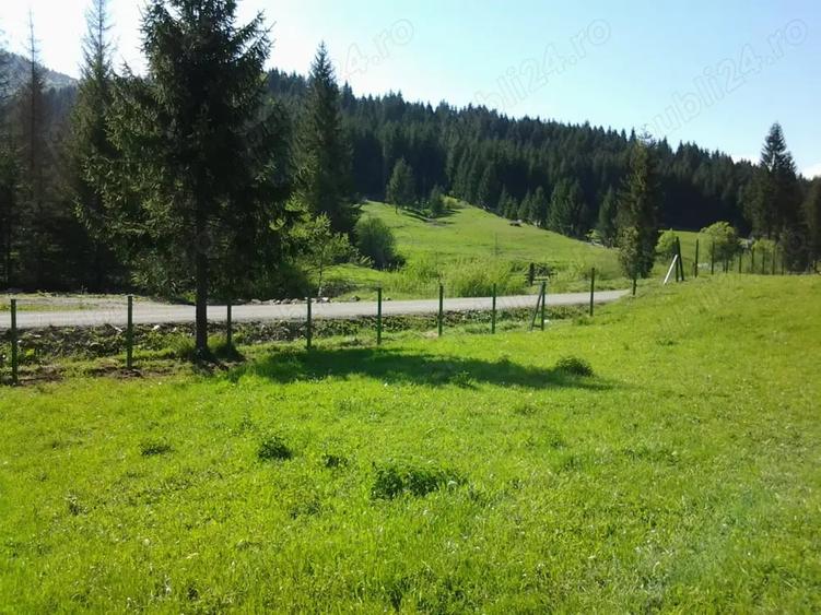 Teren de 12500 mp, în Lunca