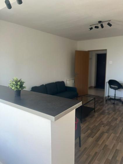 Apartament cu 2 camere, mobilat în Drumul Taberei