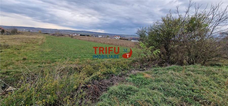 Teren Construcții intravilan de 2160 mp, în Partoș