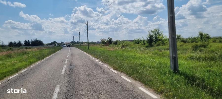 Spațiu comercial, în Bradu
