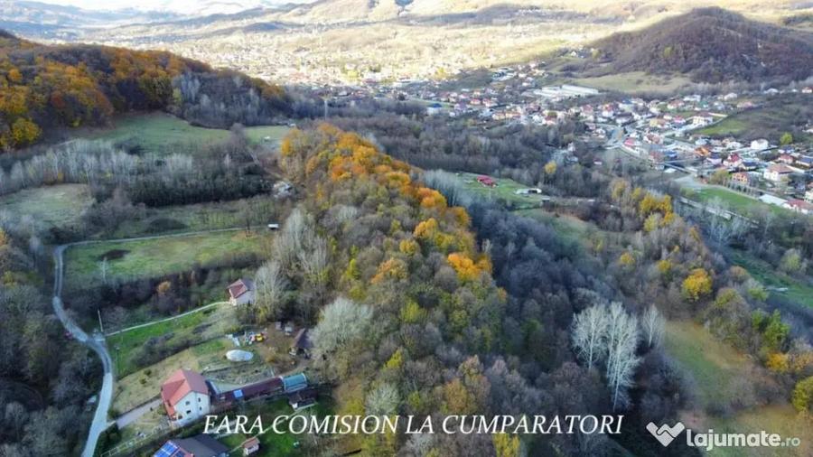 PADURE LANGA ORAS ACCES BUN IDEALA PENTRU ACTIVITATI DE AGRE - Ramnicu Valcea (Valcea) - 8