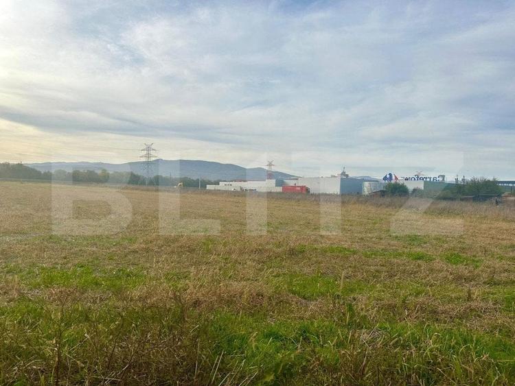 Teren Construcții intravilan de 11000 mp, în Ampoi 3