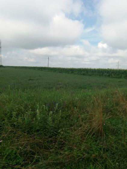 Teren Construcții intravilan de 11400 mp, în Periferie