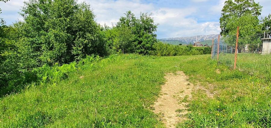 Teren Construcții extravilan de 2500 mp, în Peștera