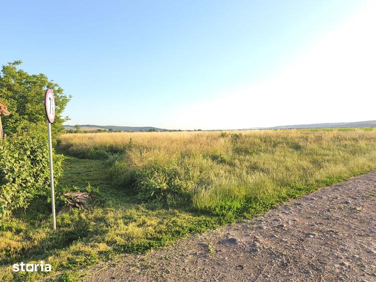 Teren de 3500 mp, în Ernei