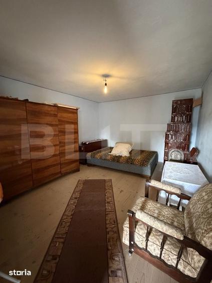 Casa pe parter, 115 mpc, 4505 mp teren, zona Bogea-Almaj - 14