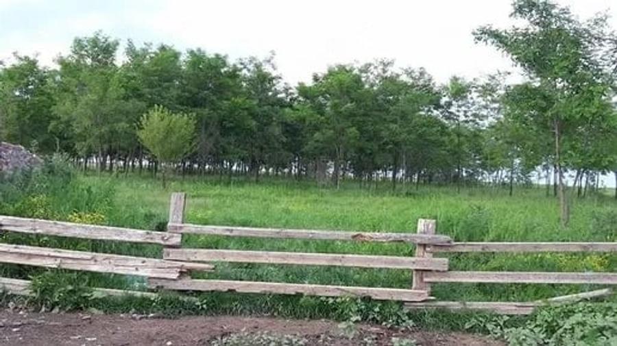 Teren de 23800 mp, în Poiana