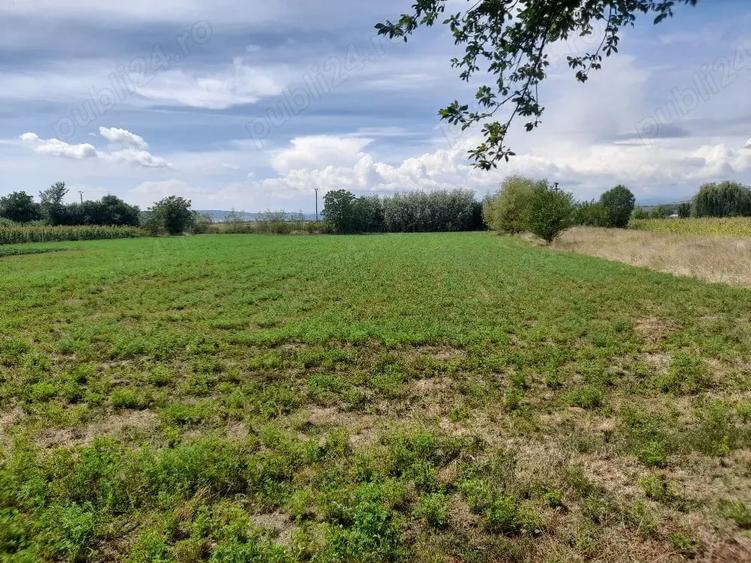 Casă cu Teren 5741 Mp în Lunca Mureșului