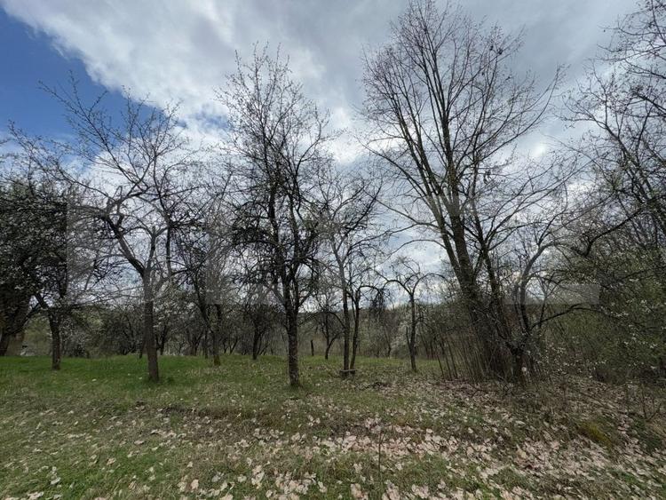 Casă individuală cu 2 camere cu Teren 10000 Mp în Hunedoara
