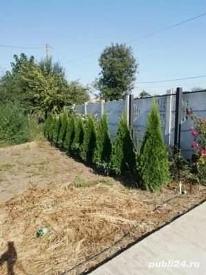 Casă cu 5 camere cu Teren 2600 Mp în Conțești