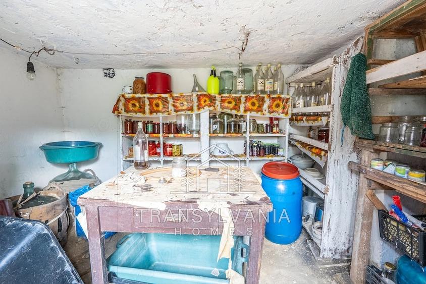 Casă cu Teren 2560 Mp în Sâmboleni