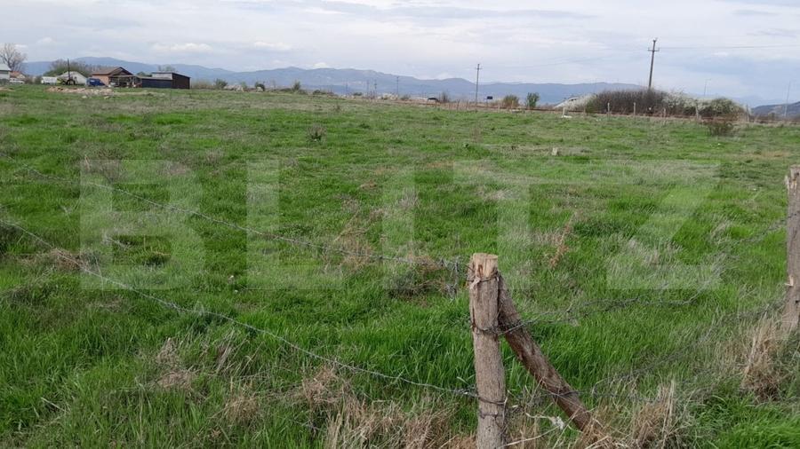 Teren Construcții intravilan de 5500 mp, în Periferie