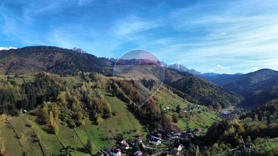 Teren agricol intravilan de 3658 mp, în Bran