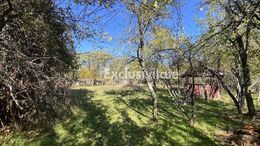 Casă cu Teren 2713 Mp în Băbana