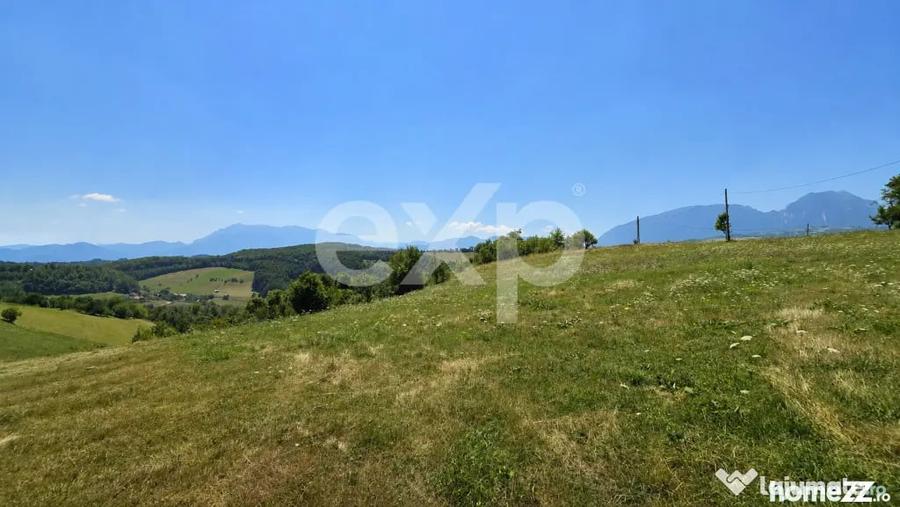 Teren în Poiana Mărului