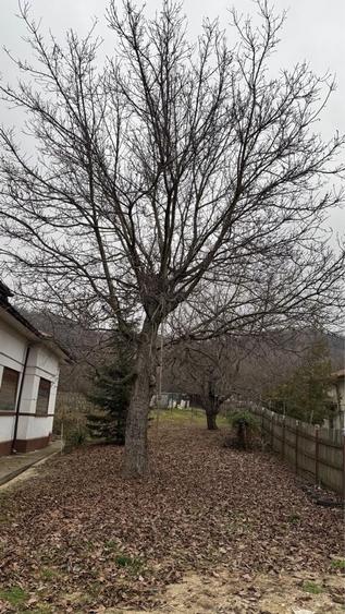 Casă cu 4 camere în Bucșani