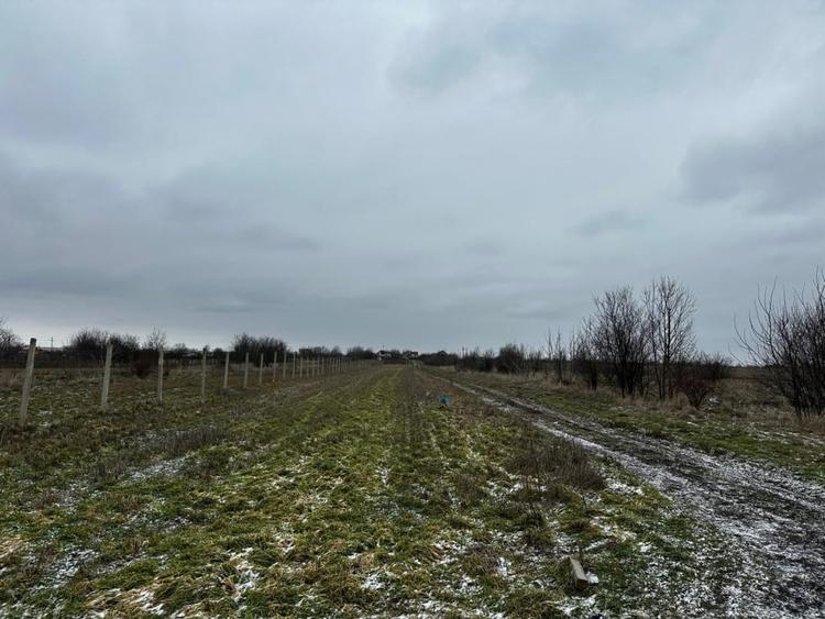 Teren Construcții intravilan de 10000 mp, în Coșoveni