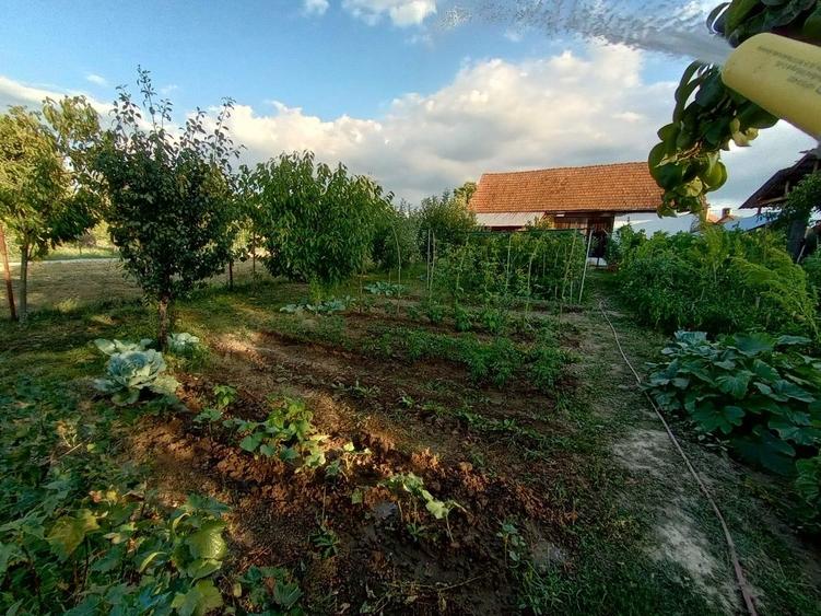 Casă cu 4 camere cu Teren 1060 Mp în Beriu