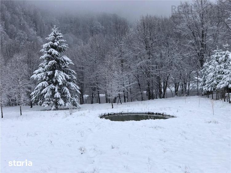 Casă cu 3 camere cu Teren 4150 Mp în Cheile Râșnoavei