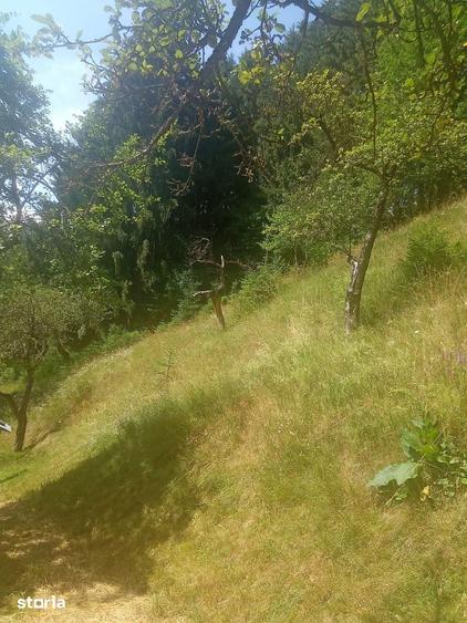 Casă cu 3 camere cu Teren 520 Mp în Mărgău