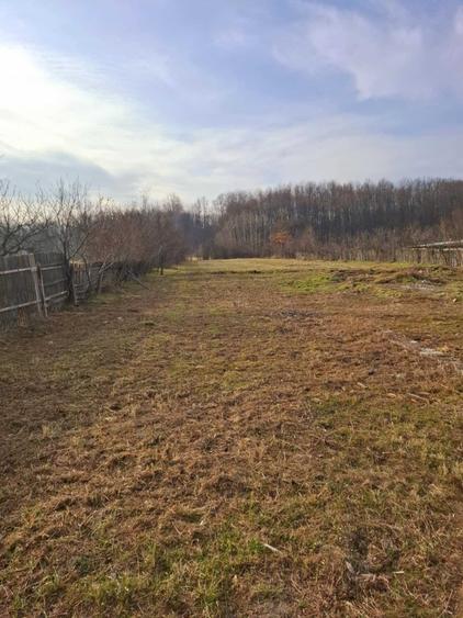 Casă cu 4 camere în Băbeni