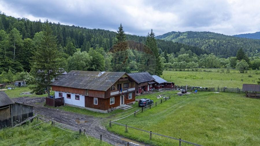 Proprietate specială, de 680 mp, în Coșnea