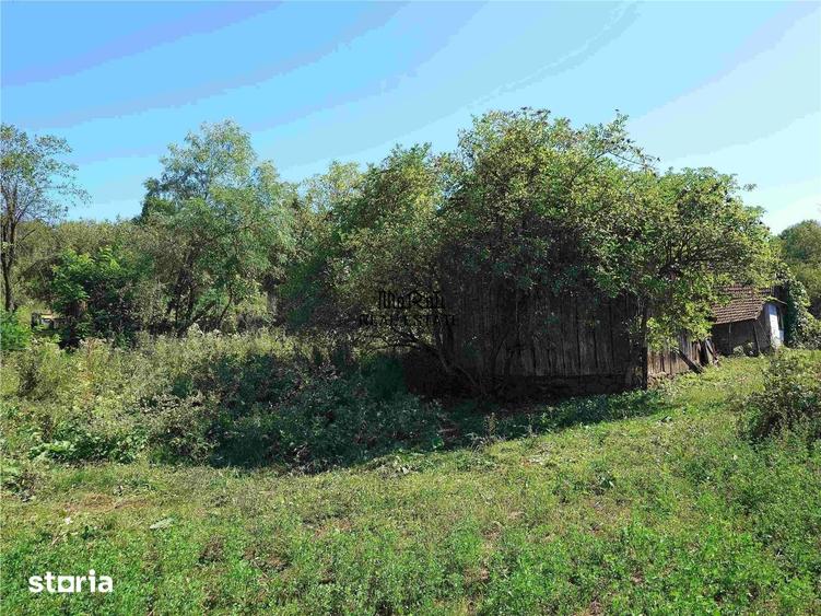 Casă cu 2 camere cu Teren 9223 Mp în Lunca