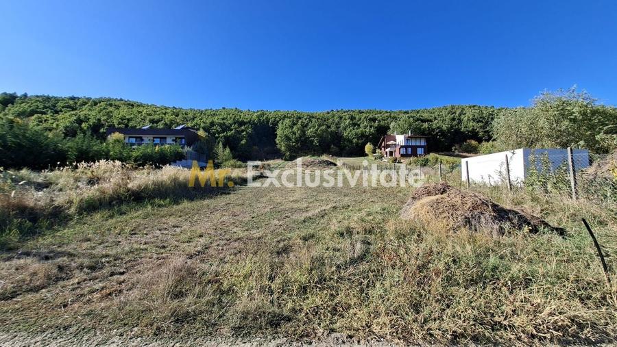 Teren Construcții intravilan de 2090 mp, în Ștefănești