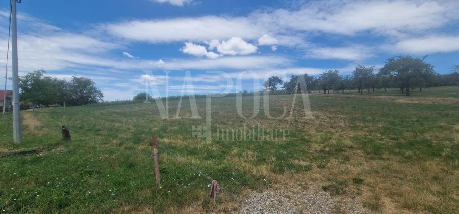 Teren Construcții intravilan de 167000 mp, în Iris
