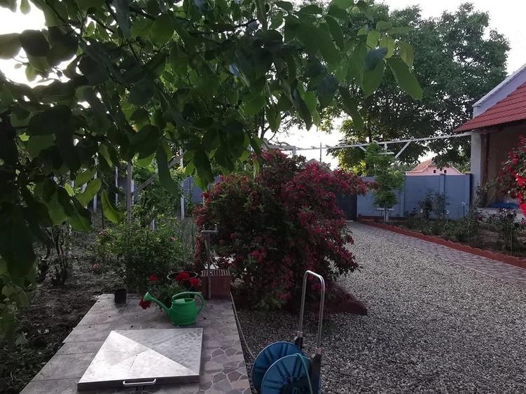 Casă cu 3 camere cu Teren 3800 Mp în Periam