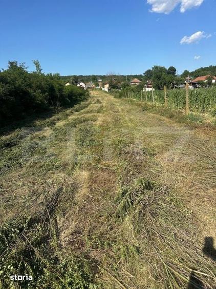 Teren de 2280 mp, în Bălești
