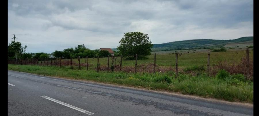 Teren de 11780 mp, în Merei